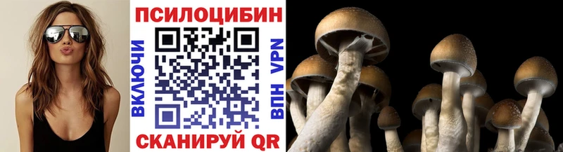 Псилоцибиновые грибы Psilocybine cubensis  мега   Балабаново 