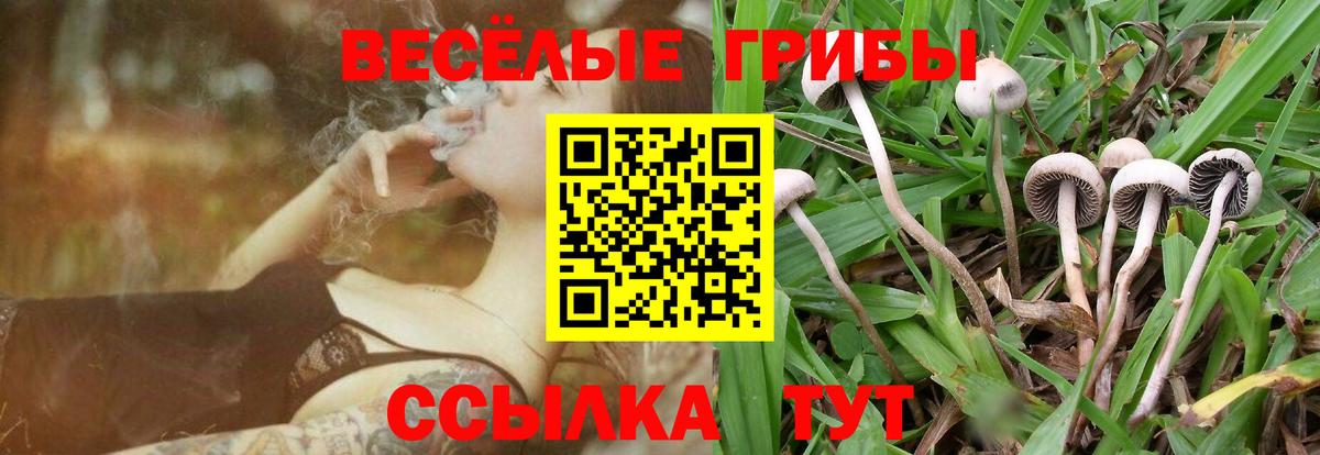 Галлюциногенные грибы мухоморы  Вход с VPN  Псилоцибиновые грибы ЛСД  Балабаново 
